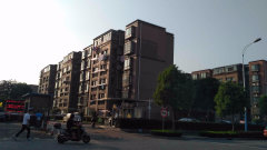 上海市金山区豫园雅郡19栋4F 