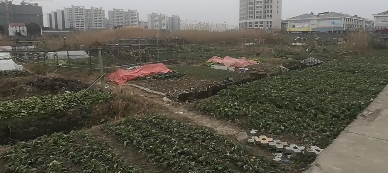 上海市金山区俞汇村地块俞汇村59/3宗地地块1 