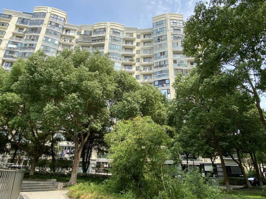 上海市松江区松云水苑29栋13F 