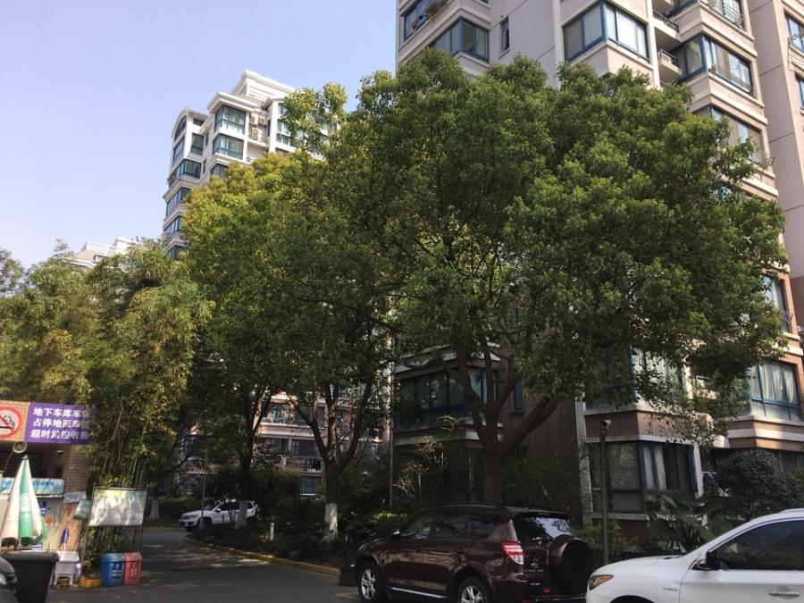 上海市虹口区欣逸家园6栋7F 