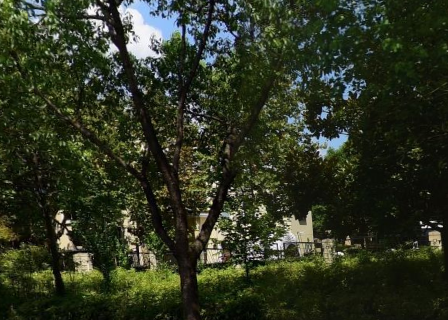 上海市嘉定区金地格林57栋2F 