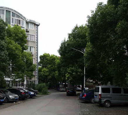 上海市宝山区金星绿苑13栋6F 