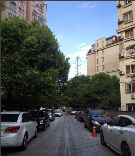 上海市静安区世纪花苑15栋11F 