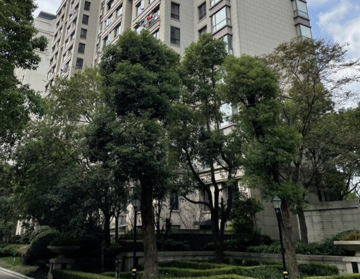 上海市杨浦区橡树湾80栋11F 