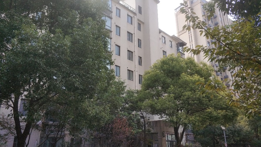 上海市宝山区新天地荻泾花园85栋1F 