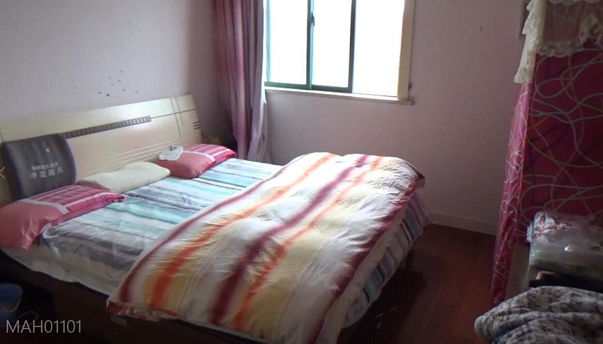 上海市宝山区四季绿城31栋11F 