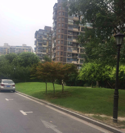 上海市宝山区梧桐城邦二期29栋2F 