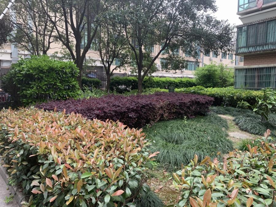 上海市松江区紫东新苑71栋18F 