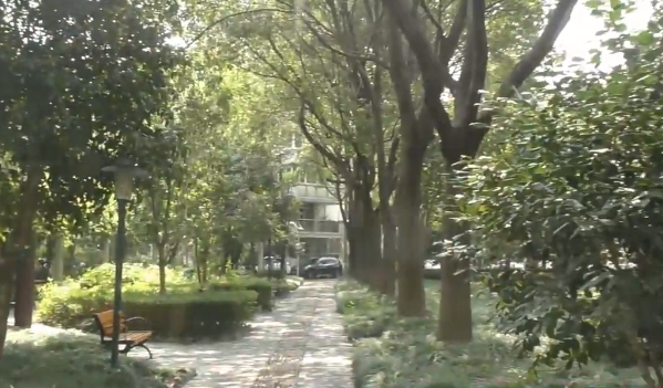 上海市宝山区共富四村133栋4F 