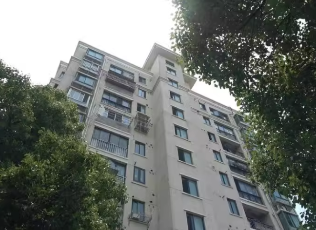 上海市浦东新区新高苑兰园33栋3F 