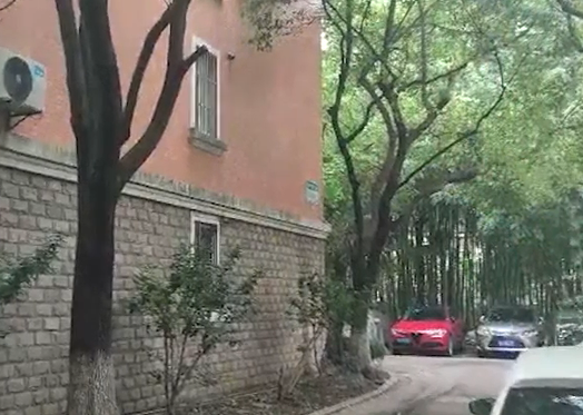 上海市闵行区嘉丰新苑29栋6F 